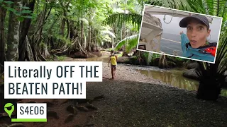 Solo adventures: Sailing to a remote bay exploring a fairytale rainforest – UNTIE THE LINES S4E06