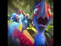All the birds of a feather rio edit