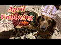 NEW BarkBox Super Chewers Box - April Unboxing