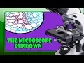 The Microscope Rundown - Parts and Usage
