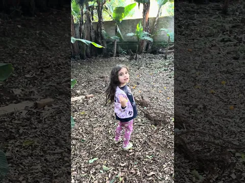 CHÁCARA DO VOVÔ DO AMIGO DOS BRINQUEDOS #amigodosbrinquedos