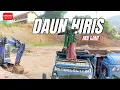 Download Lagu DAUN HIRIS - MA IJAH