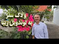 Download Lagu A Journey to Lavandevil | Nature, Culture \u0026 Delicious Lavangi |لوندویل زیبا با خاطرات خوش و ماندگار