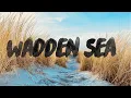 Download Lagu Discover the Wadden Sea Teaser