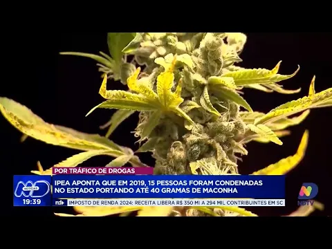 Descriminalização da maconha pelo STF leva CNJ a revisar condenações