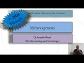 Melanogenesis Process Control and Mechanism