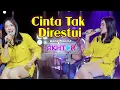 Download Lagu CINTA TAK DIRESTUI ~ Della Monica  ||  PARGOY AMBYAR