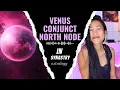 Venus conjunct North Node in Synastry A Sky Full of Stars