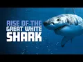 Download Lagu Rise of the Great White Shark | 4K |