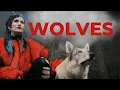 Lagu RØRY - WOLVES
