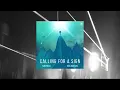 Sub Focus - Calling For A Sign (feat. Kelli-Leigh) (TIIGS Bootleg)