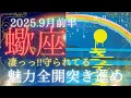 Download Lagu [First half of September🌛] Scorpio's fortune🦄 is amazing!! You're protected🌈 Fully utilize your c...