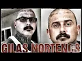 GILAS NORTENOS SOLDADOS R I P SPANKY