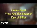 Download Lagu Calum Scott - You Are The Reason (Karaoke Version)