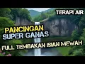 Lagu TERAPI AIR UNTUK SEMUA JENIS BURUNG , TERAPI SEMUA JENIS BURUNG AGAR GACOR , TERAPI AIR