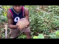 Download Lagu Went on an early morning walk and hunt mangoes 