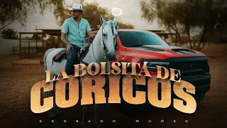 Edgardo Nuñez - La Bolsita De Coricos [En Vivo]