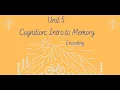 Unit 5 Intro to Memory Encoding AP Psychology