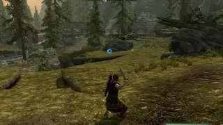 TK DODGE MOD problem help please