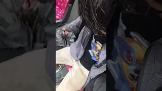                                                        دندنها