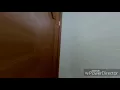 psy-(NAPAL BAJI ) M/ V