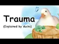 Trauma and its responses explained by ducks