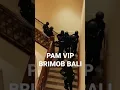 Download Lagu PAM WAL VIP