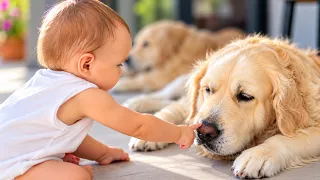 What Does a Baby Do When Dogs Ignore Her?
