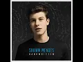 Shawn Mendes - Lost (Audio)