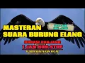 Download Lagu MASTERAN SUARA BURUNG ELANG 1 JAM NON STOP