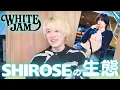 Lagu 【WHITE JAM】SHIROSEを質問攻めにしてみた