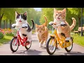 Lagu Mama Cat Rescues an Abandoned Kitten, Cooks Delicious Meals, and Builds a Bicycle as a Gift 😿🚲❤️