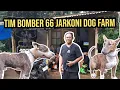 REVIEW ANJING BOMBER 66 JARKONI DOG FARM  ‼️
