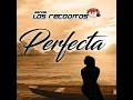 Perfecta - Banda Los Recoditos