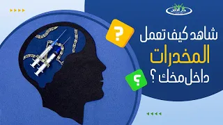 كيف تعمل المخدرات داخل مخ الانسان   تأثير المخدرات على الجهاز العصبي دندنها