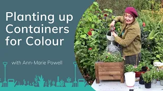 Download Planting up Containers for Colour with Ann-Marie Powell | PrimroseTV MP3