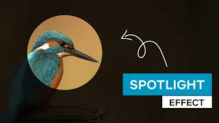 Spotlight Effect CSS jQuery