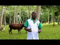 JAGUZA - Cloud Powered Livestock Monitoring App