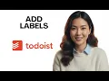 Organize Tasks Better How to Use Labels in Todoist