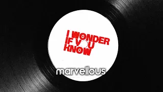 Alok, SOMETHING ELSE– I Wonder If You Know (Official Lyric Video)