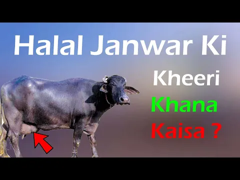 Bhens Ki Kheeri Khana Kaisa | Kya Khiri Khana Islam Me Jaiz Hai | भैंस की खीरी खाना Jaiz Najaiz