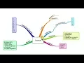 13 Operator in Java
