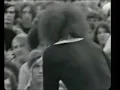 MC5 - Kick Out The Jams 1970 - Detroit Tube Works TV show