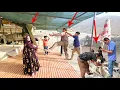 Download Lagu Brave Nomadic Woman Saves Her Flock| A Veterinarian Arrives to Treat the Sheep|True Care in the Wild