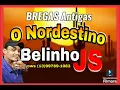 Download Lagu Bregas Antigas Belinho Js  @casadaseresta @cdsarrochaesofrencia6004 @canalpurobrega5275 