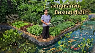ลงตัวสุดๆพื้นที่ 1งานปลูกผักผสมผสานและเลี้ยงปลา🏠🌾ถึงเวลามีแต่คนมาขอซื้อ
