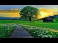 Download Lagu Restore the nervous system🌿 Soothing music, Relaxing nature sounds help relieve stress \u0026 recharge