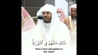 محمد رسول الله تلاوة خاشعة للشيخ ياسر الدوسري Sheikh Yasser Al Dossary 