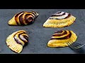 Download Lagu An Italian recipe, long ago forgotten. Shells with cocoa and oranges, ready in 20 min