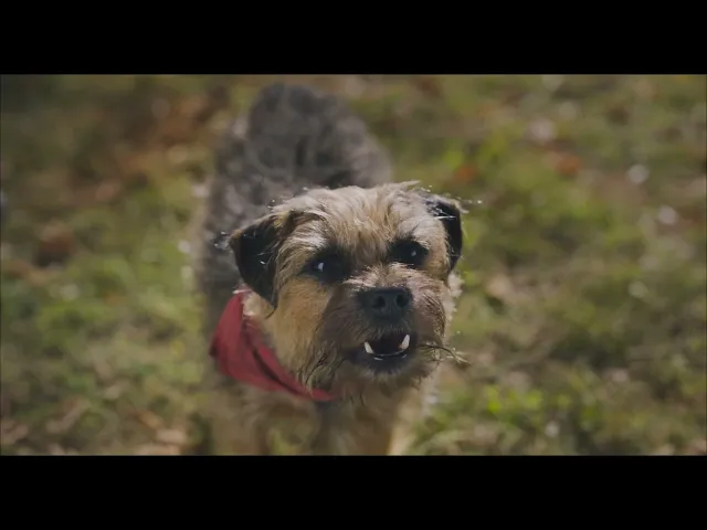 Doggy Style | Trailer #1
